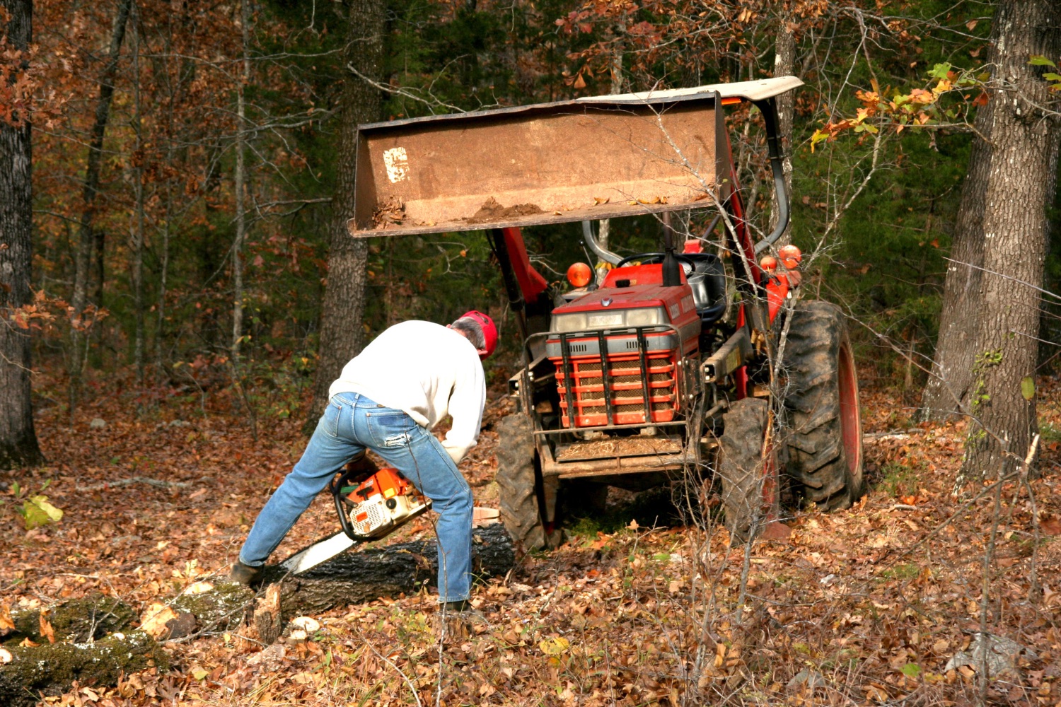 MTM Land Clearing crew member cutting timber beside a tractor loader during a land clearing job
